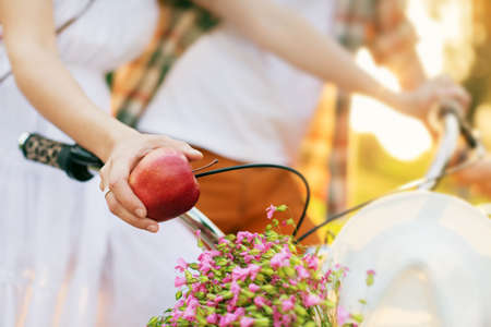 Bikes.の写真素材