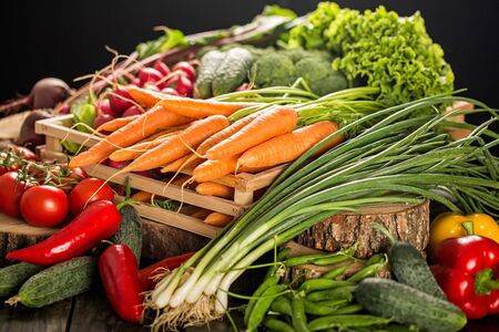 Vegetable.の写真素材
