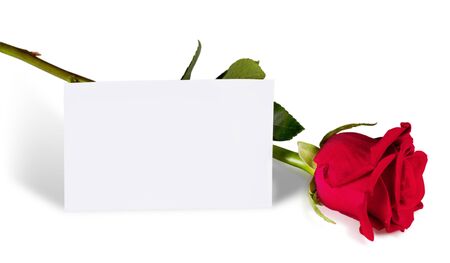 Thank You.の写真素材