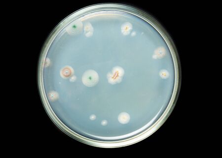 Penicillin.
