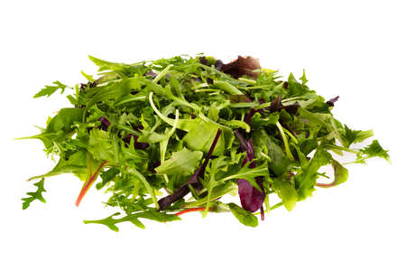 Salad.の写真素材