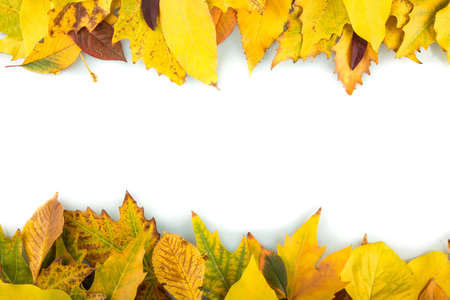 Autumn.の写真素材