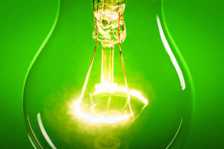 Green.の写真素材