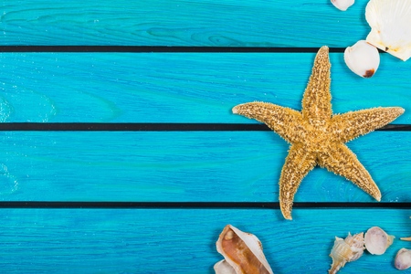 Shell.の写真素材