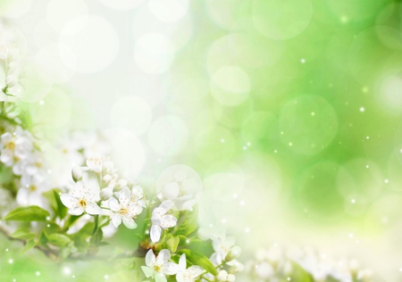 Spring.