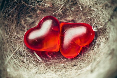 Attract.の写真素材