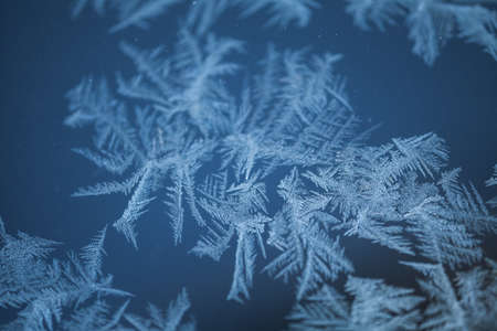 Frost.の写真素材