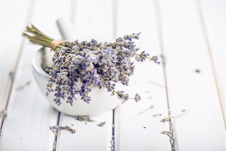 Flower.の写真素材