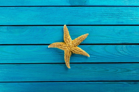 Shell.の写真素材