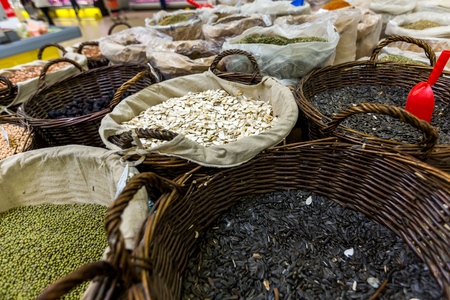 Africa.の写真素材