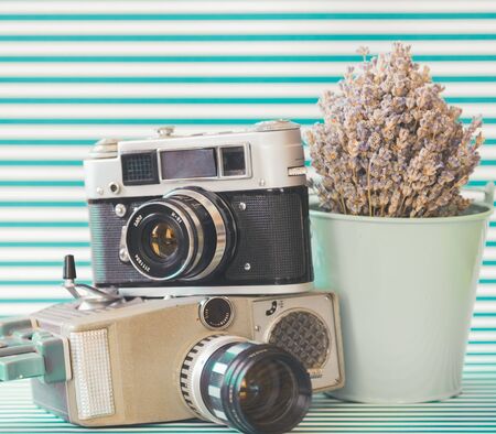 Boho.の写真素材
