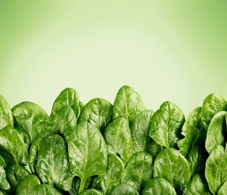 Vegetable.の写真素材