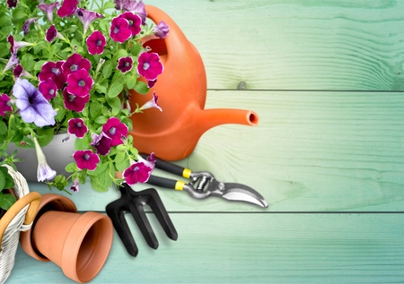 Gardening.の写真素材