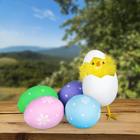 Easter.の写真素材