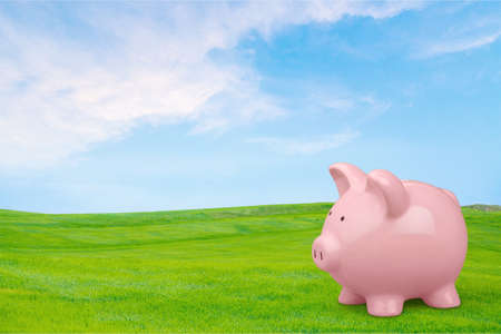 Piggy Bank.の写真素材