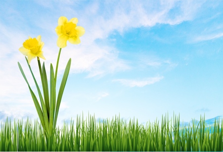 Spring.