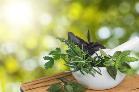 Herb.の写真素材