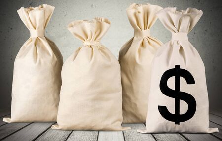 Money Bag.の写真素材