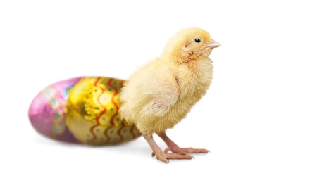 Easter.の写真素材