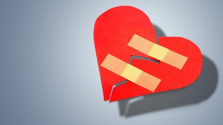 Heart Shape.の写真素材