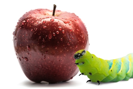 Apple.の写真素材