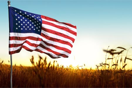 USA United State of America flag on green  background.