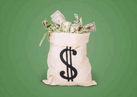 Money bag.の写真素材