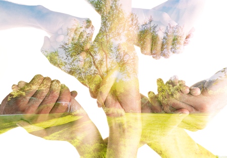 Holding Handsの写真素材