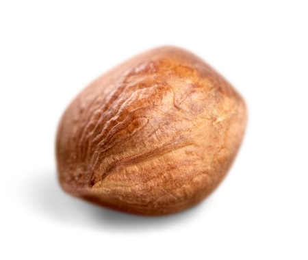 Hazelnut.の写真素材