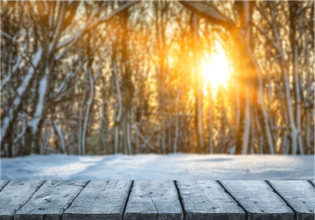 Winter landscape.の写真素材