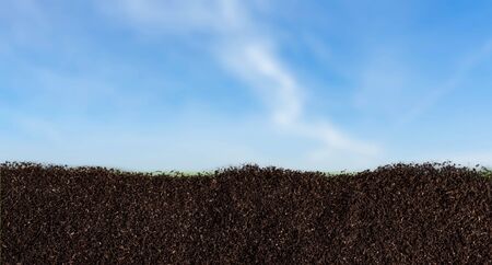 Dirt.の写真素材