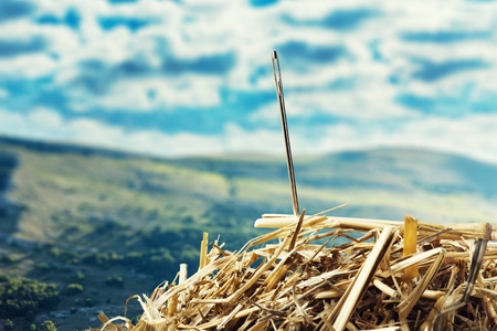 Searching.の写真素材