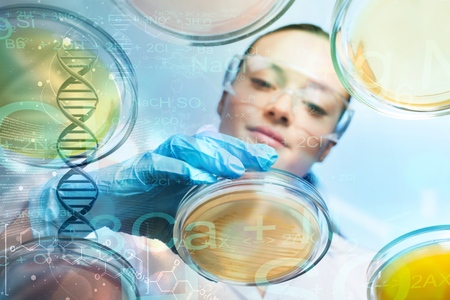 Cell.の写真素材