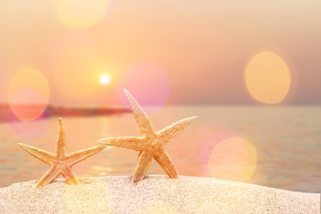 starfish in crown with ocean, beach,white boat  and seascape, shallow dofの写真素材