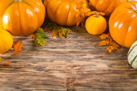 Thanksgiving background