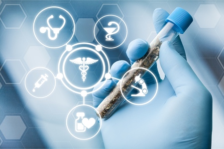 Science, Safety, Research, Technology and Cannabis -  The Increasingly Legal, Medical and Recreational Use of Marijuanaの写真素材