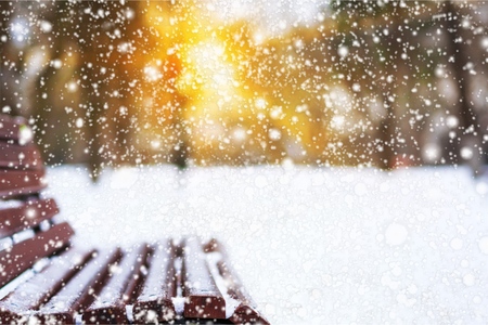 Park bench and trees covered by heavy snow. Lots of snow. Sunset