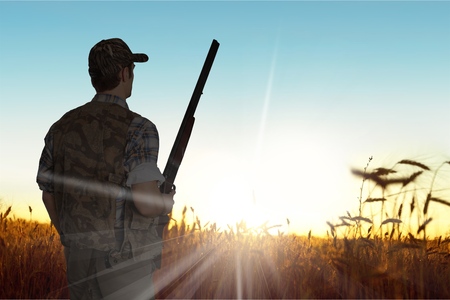 pheasant hunter in the field
