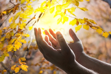 Human hands open palm up worshipの写真素材