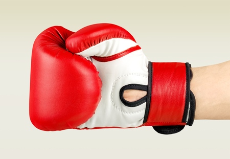 Boxer