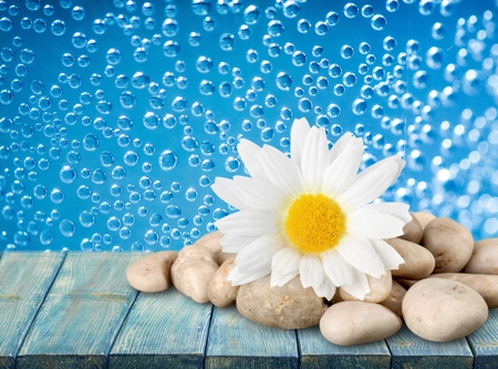 Flower and rocks - spa themeの写真素材