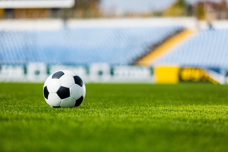 Soccer Ball on Grassの写真素材