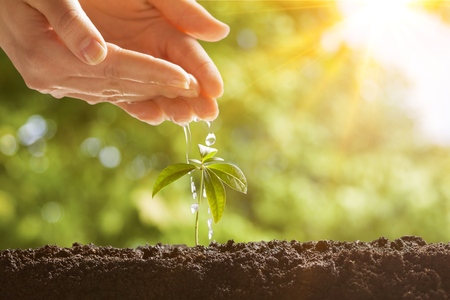 Concept of a new lifeの写真素材