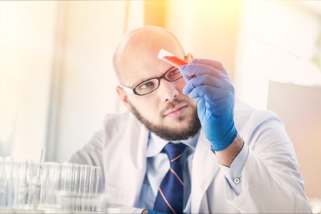 Senior male carrying out scientific researchの写真素材