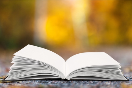 Book of poetry outdoors with flower on itの写真素材