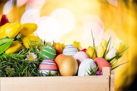 Easter eggs on meadowの写真素材