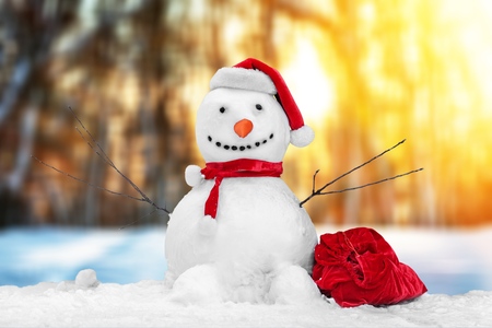 Snowman with Christmas gift on snowの写真素材