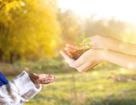 Old Man Giving Young Plant To A Child - Environment Protection For New Generationの写真素材