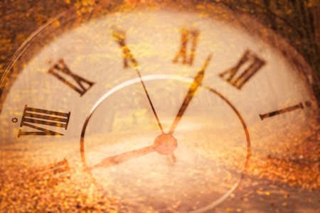 Autumnの写真素材