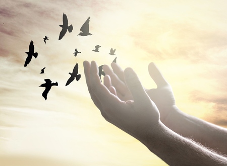 Silhouette human open two emptyの写真素材